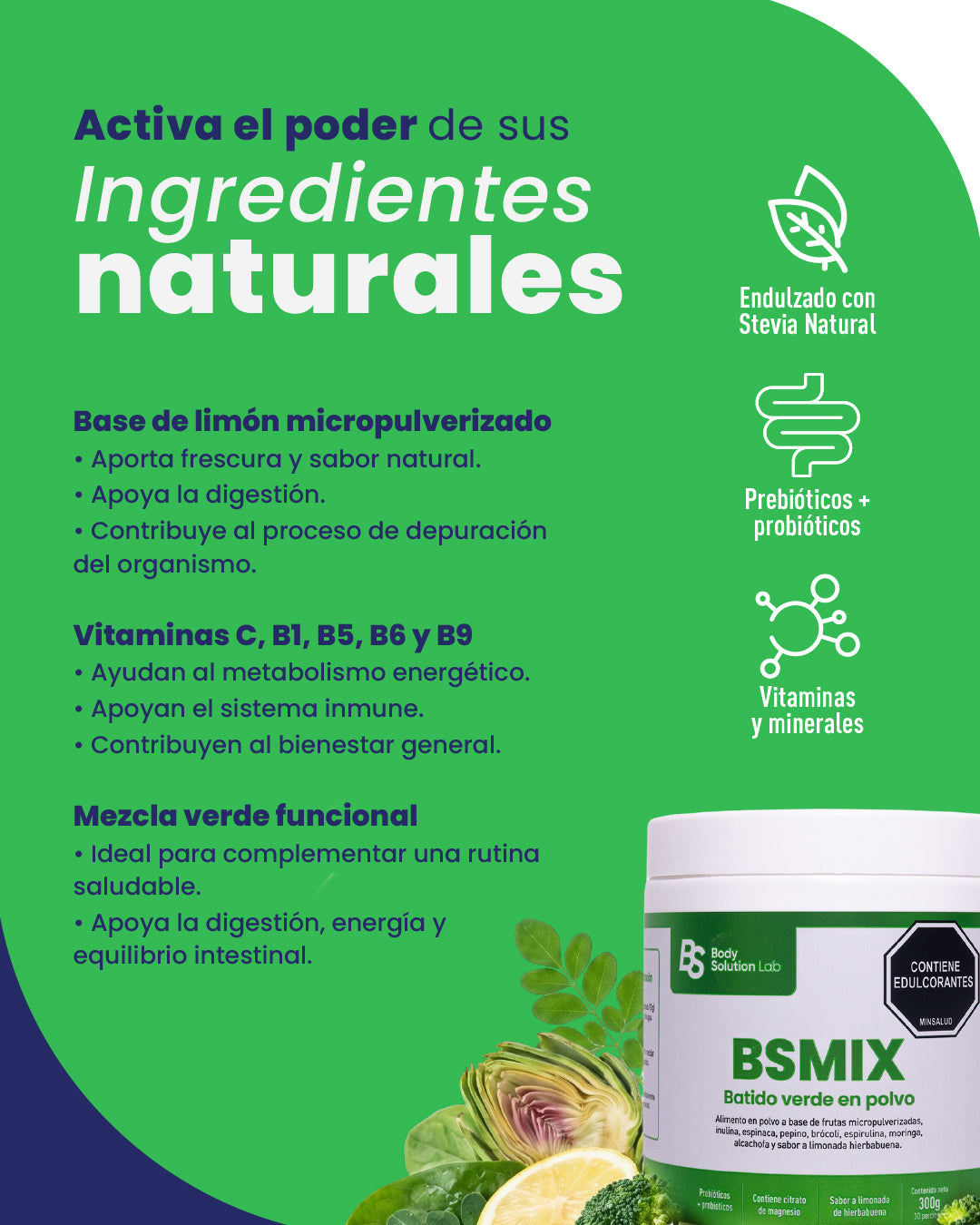 BSmix Batido Verde Detox 300g